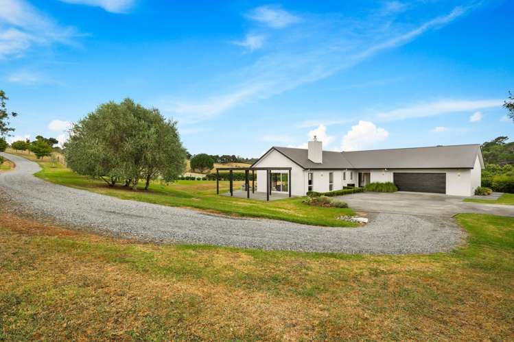 255 Austin Road Dairy Flat_33