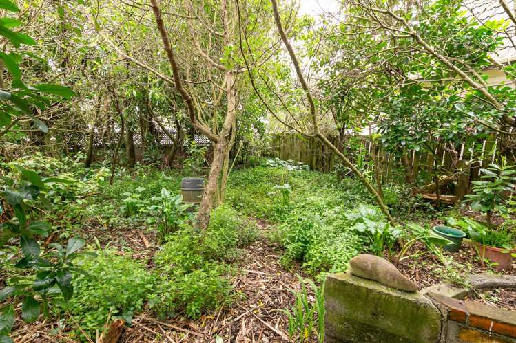 90 Britomart Street Berhampore_12