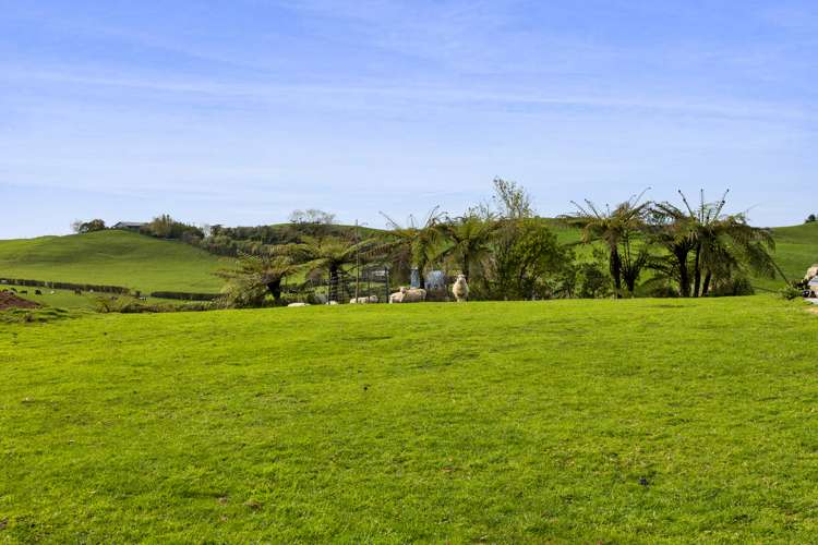 487 Lincoln Road Inglewood_22