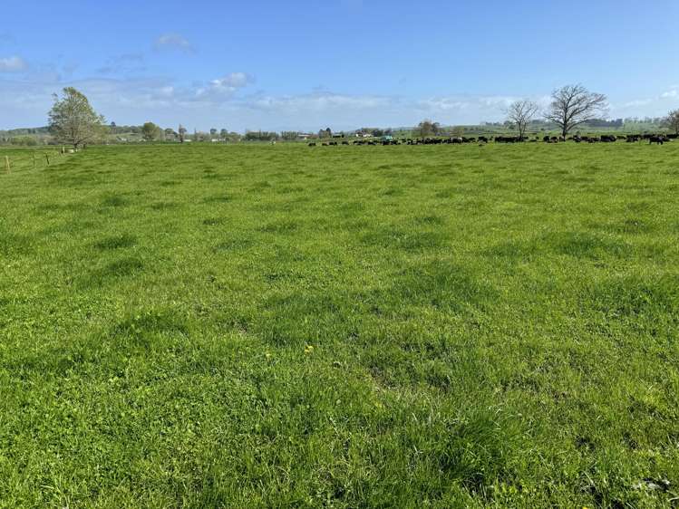 260 Maihiihi Road Maihiihi_25