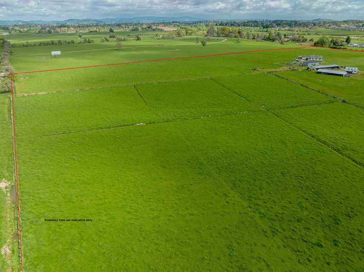 650 Cambridge Road Te Awamutu_19