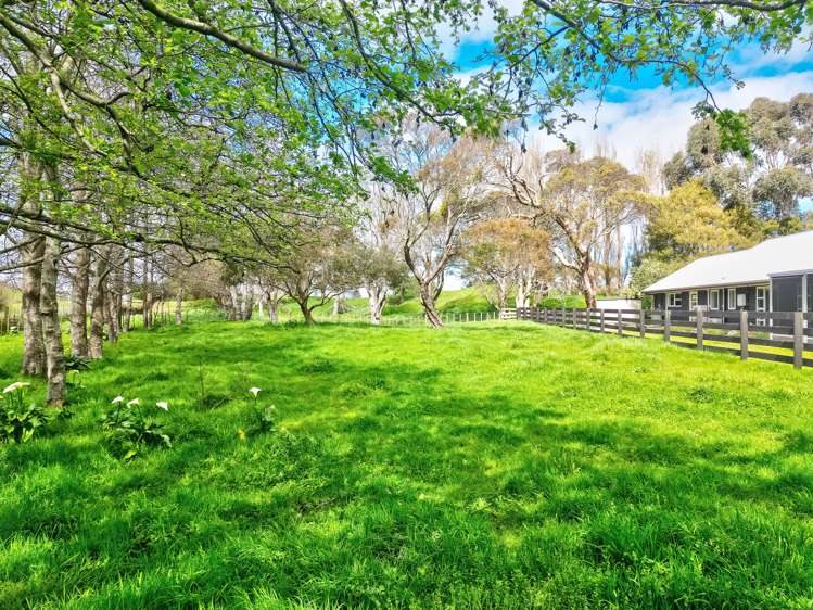 7 Francis Road Westmere_23