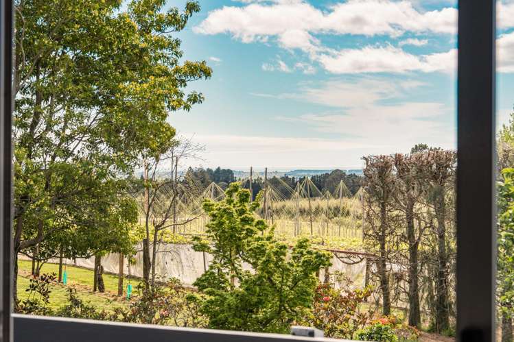 453 No 3 Road Te Puke_5