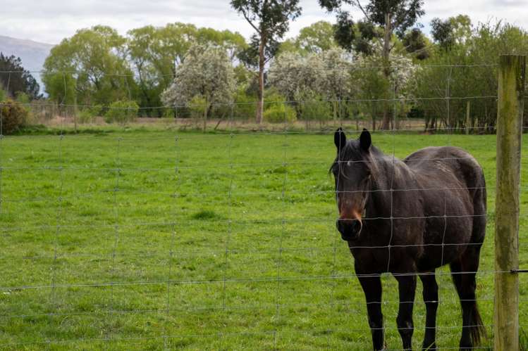 Lot 11, 0 Oven Hill Road Roxburgh_8