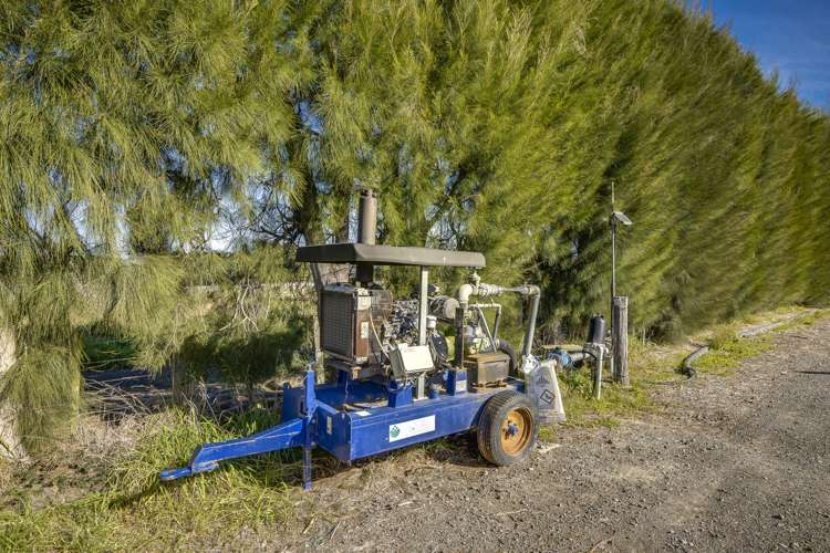 Kiwi Crunch Orchard Portfolio Twyford_36