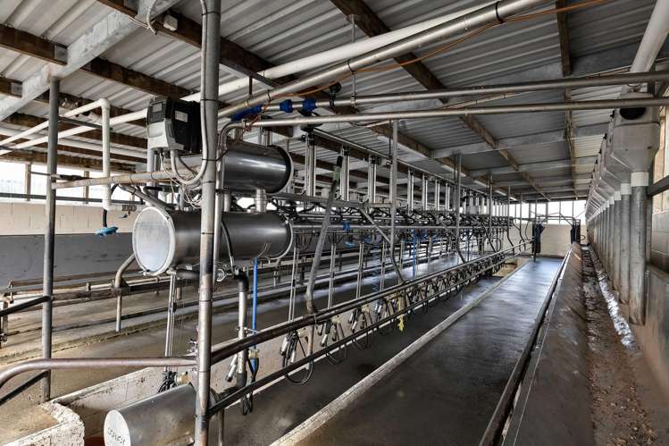 299 Cardiff Road Cardiff_12