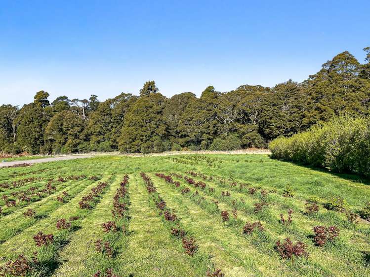 37A Marino Street Ohakune_23