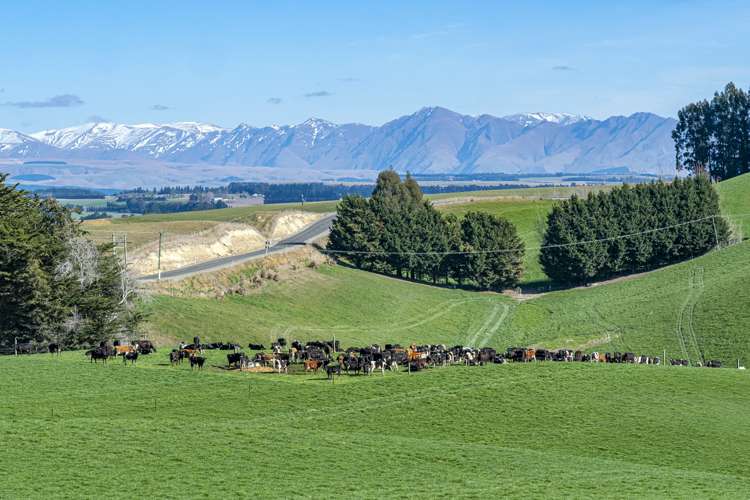 89 Brookstead Road Island Cliff_4