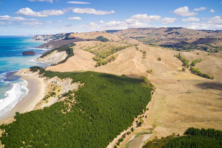 399 Te Apiti Road Waimarama_17