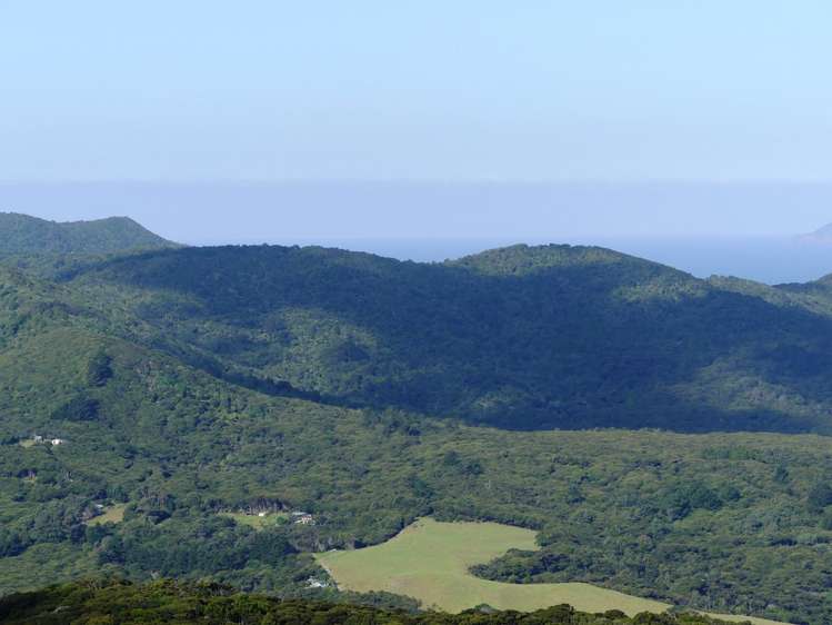 230 Schooner Bay Road Great Barrier Island (Aotea Island)_2