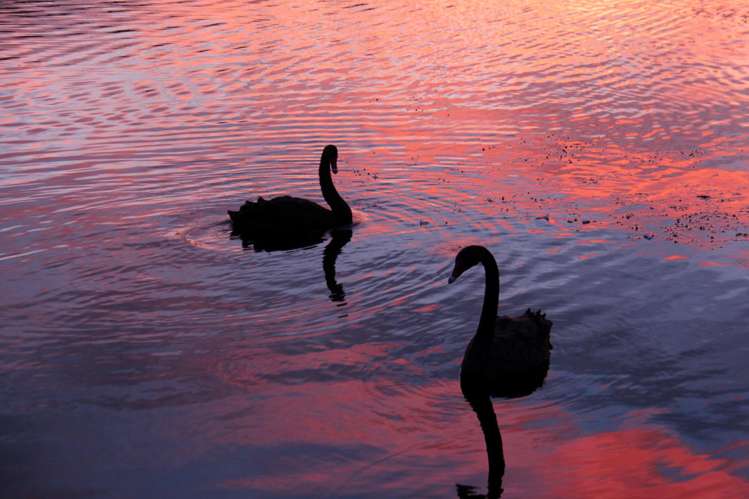 483 Spencer Road Lake Tarawera_48