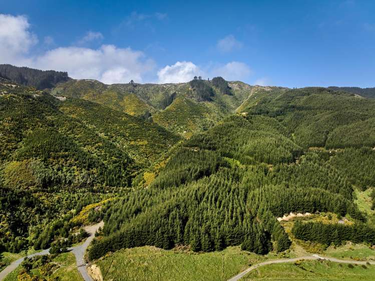 850A Paekakariki Hill Road Paekakariki Hill_39