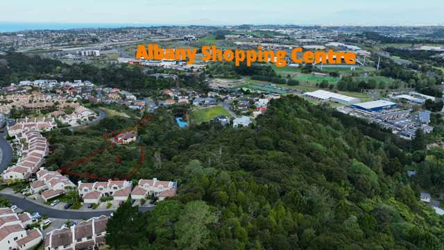 31 Living Stream Road Albany Heights_4