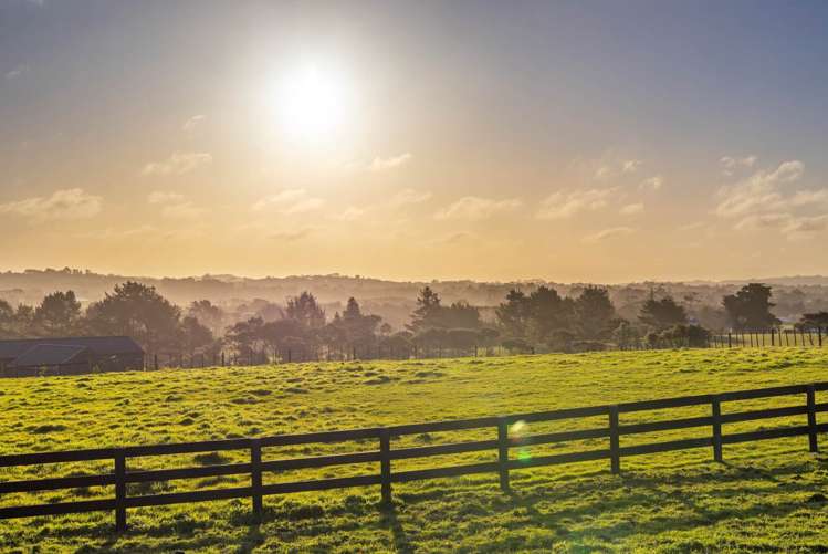 93 Nixon Road Taupaki_11