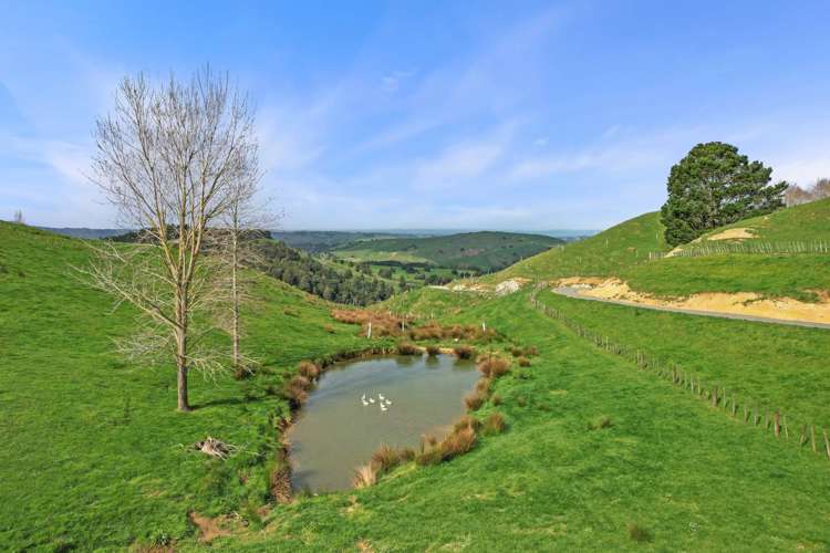 895 Wairamarama Onewhero Road Onewhero_33