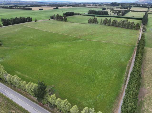 Dairy Grazing / Supplement unit or Local Addition