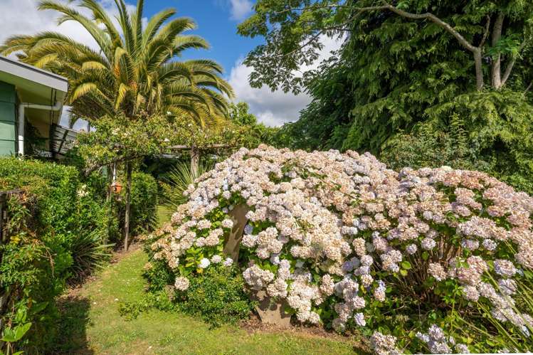 12 Mickell Road Motueka_11