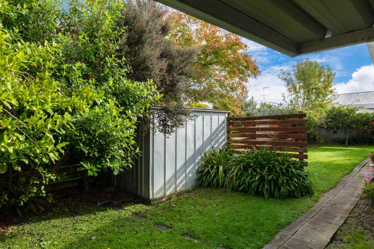 10c Eltham Road Blenheim Central_18