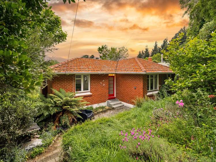 211 Signal Hill Road Opoho_25