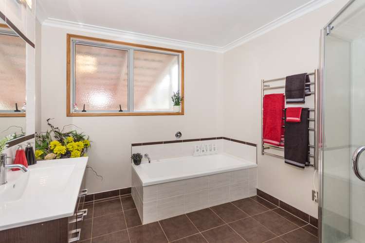 311 Upper Queen Street Pukekohe_6