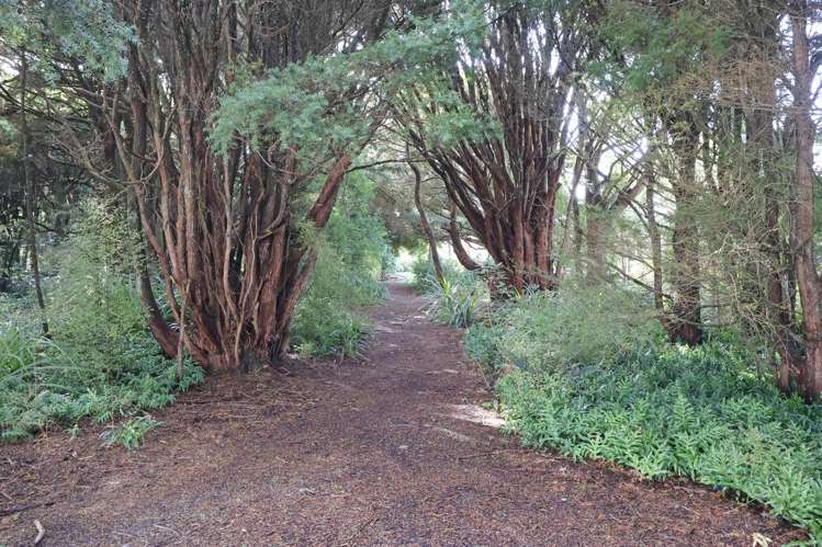 160 Oreti Road Otatara_25