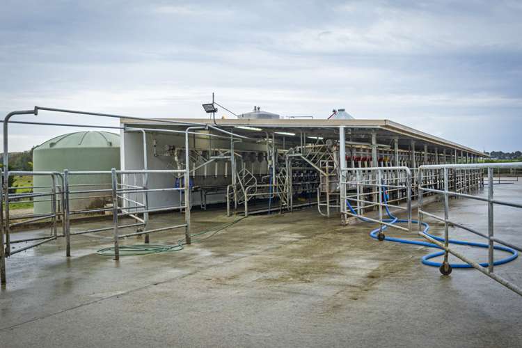 313 Springfield Road Totara_7