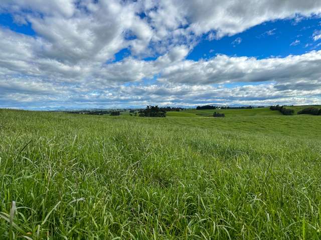 Pinnacle Road Gore Surrounds_2