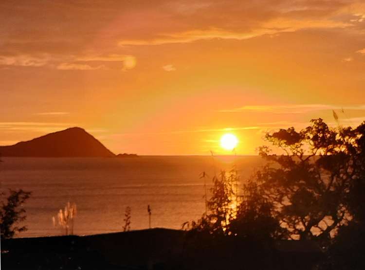 2894 Long Bay Road_3