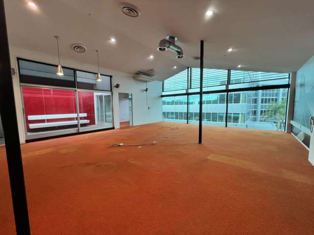 L1/13 Hargreaves Street Freemans Bay_2