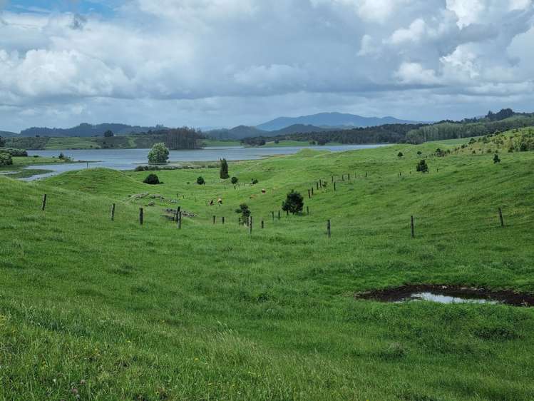 267 Ludbrook Road Pakaraka_12