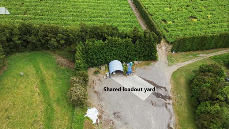 80 Roydon Downs Road Paengaroa_9