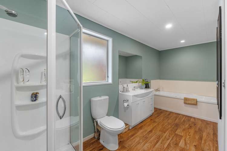 18 Steam Hauler Track Waitakere_13