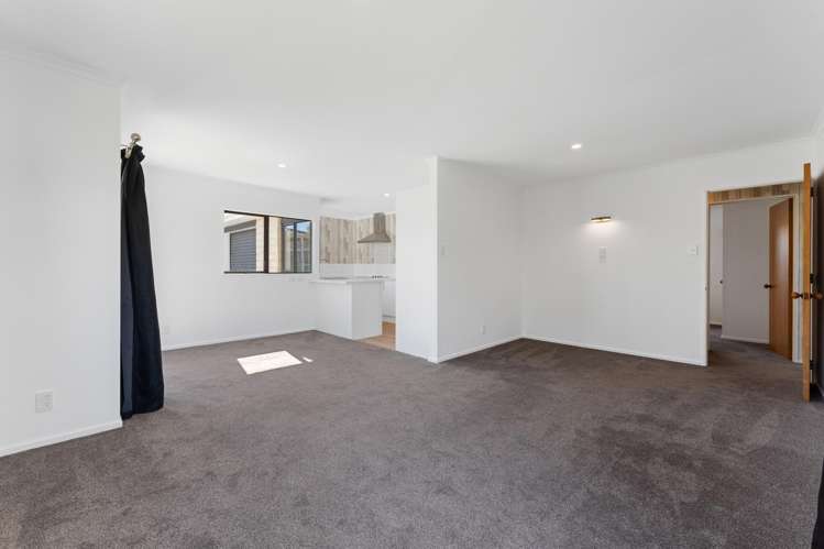 28a Freyberg Street Roslyn_11