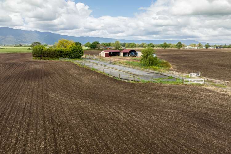 361 Waghorn Road Manawaru_12