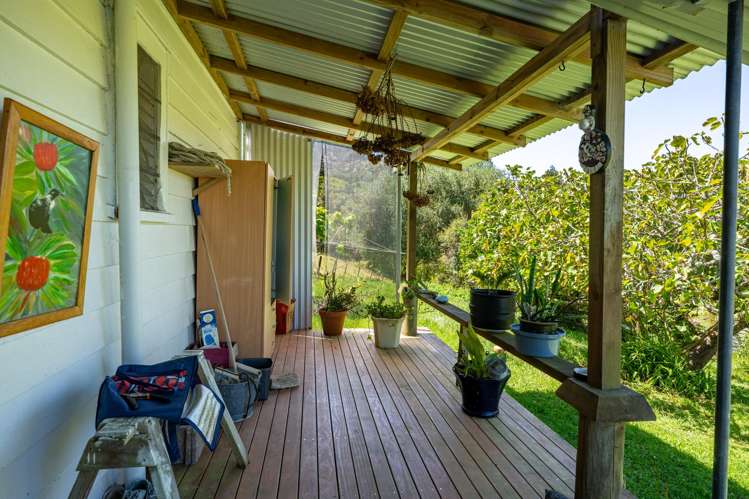 881 Whakapirau Road Whakapirau_23