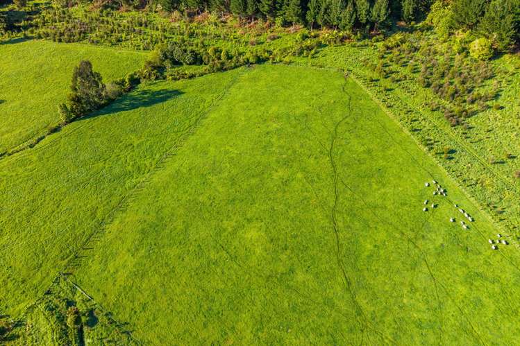 1202 Otaki Gorge Road Te Horo_22
