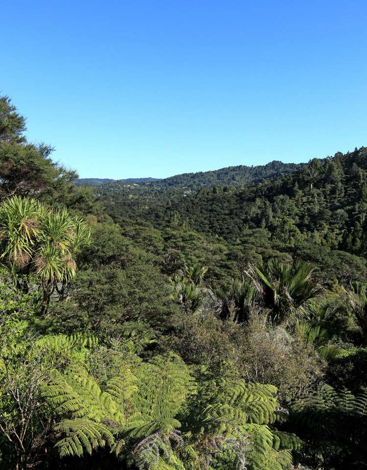 63 Huia Road Titirangi_16