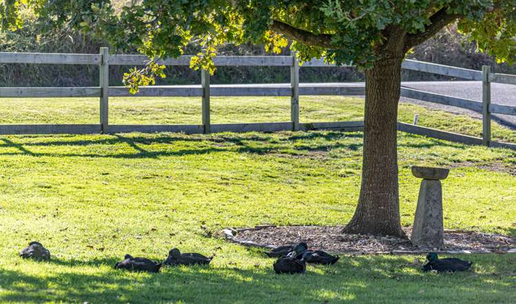 11 James Road Huntly_29