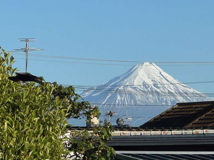 30a Disraeli Street Hawera_24