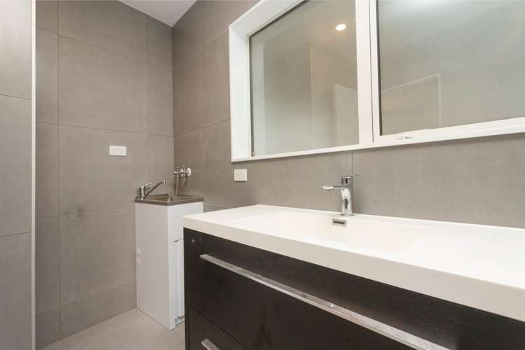 85 Seabrook Avenue New Lynn_9