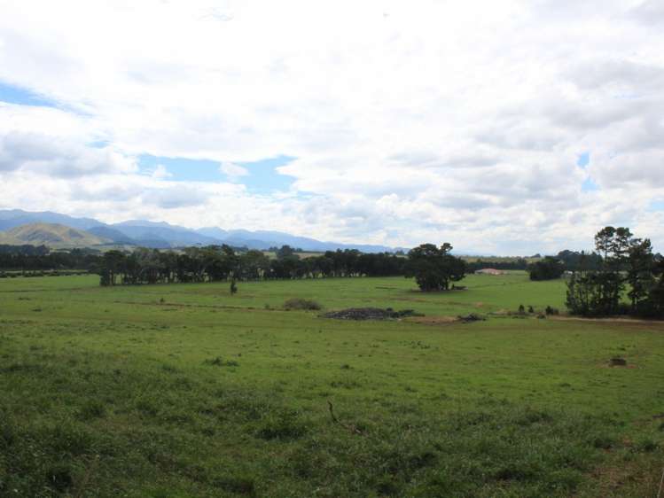 268 Ngamoko Road Norsewood_15