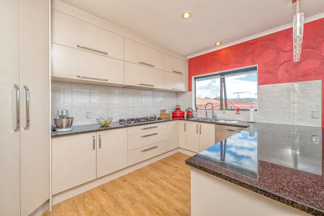 51 Saralee Drive Manurewa_1