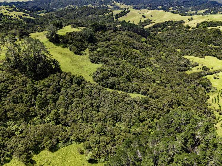 770 Fisher-Riley Road Kaingaroa_8