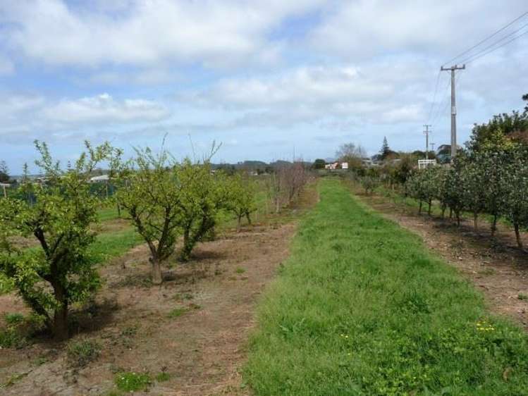 165a State Highway 1 Awanui_13