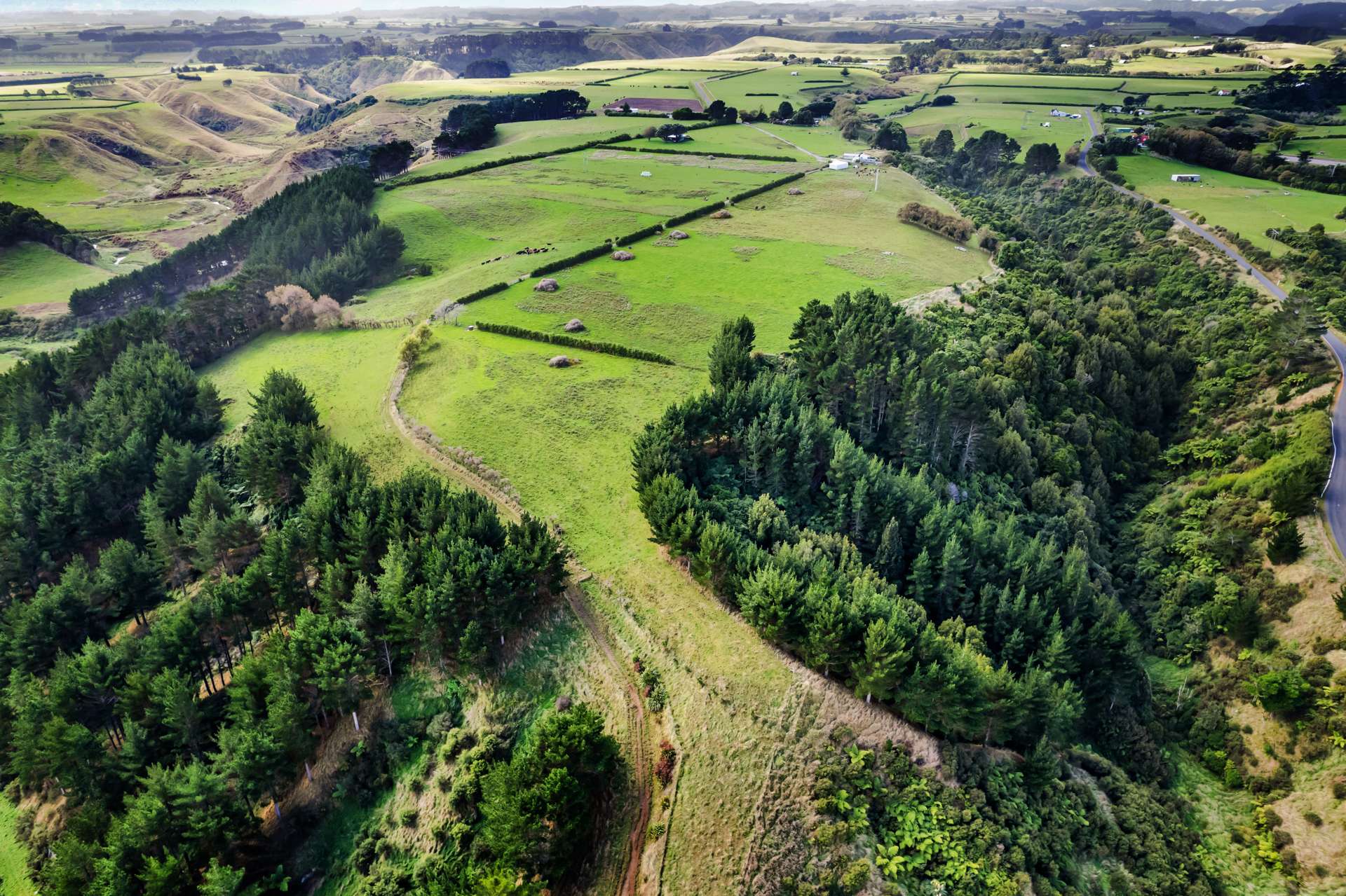 Whakamara Road Hawera_0