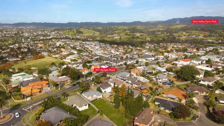 207 Sturges Road Henderson_21
