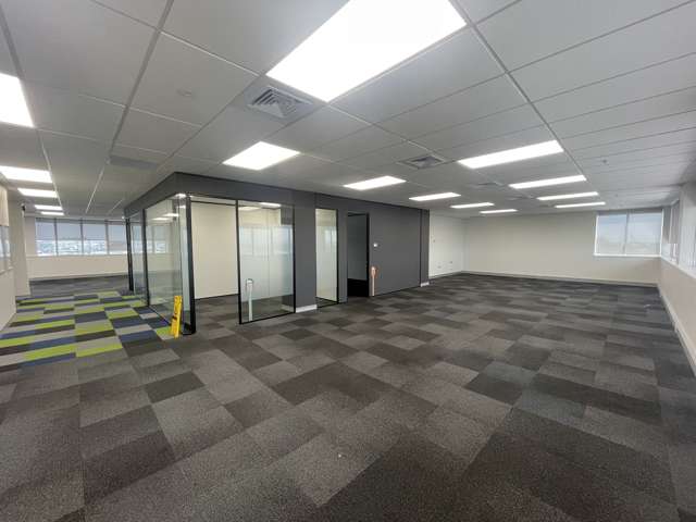 45 O'Rorke Road Penrose_3