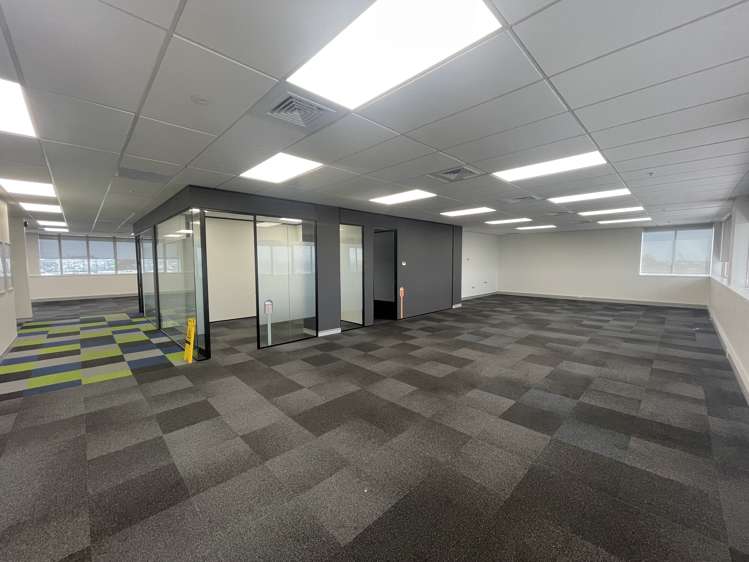 45 O'Rorke Road Penrose_3