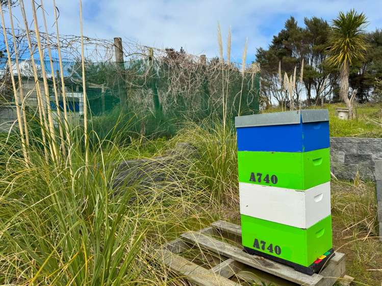 103 McLeod Road South Head Helensville_28