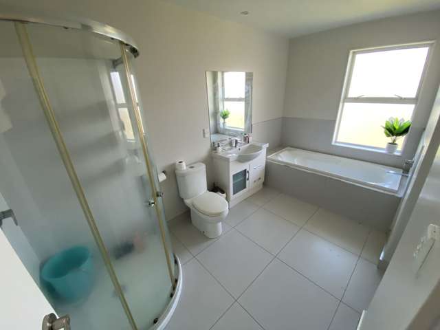 229 Porchester Road Takanini_2